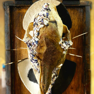 The Squid Mixed Media By: Thabo Mangmang